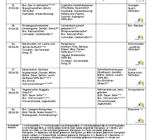Umgeleitetes Druckdokument von Remotedesktop