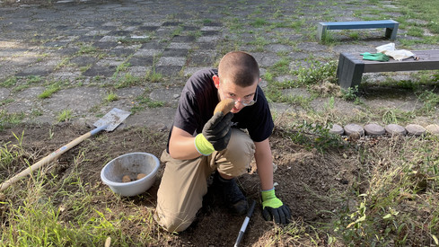 Kartoffelernte im Schulgarten